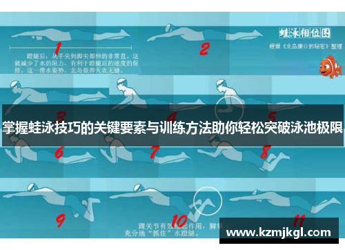 掌握蛙泳技巧的关键要素与训练方法助你轻松突破泳池极限