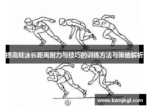 提高蛙泳长距离耐力与技巧的训练方法与策略解析