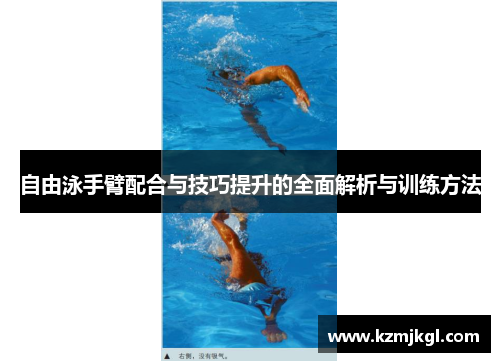 自由泳手臂配合与技巧提升的全面解析与训练方法